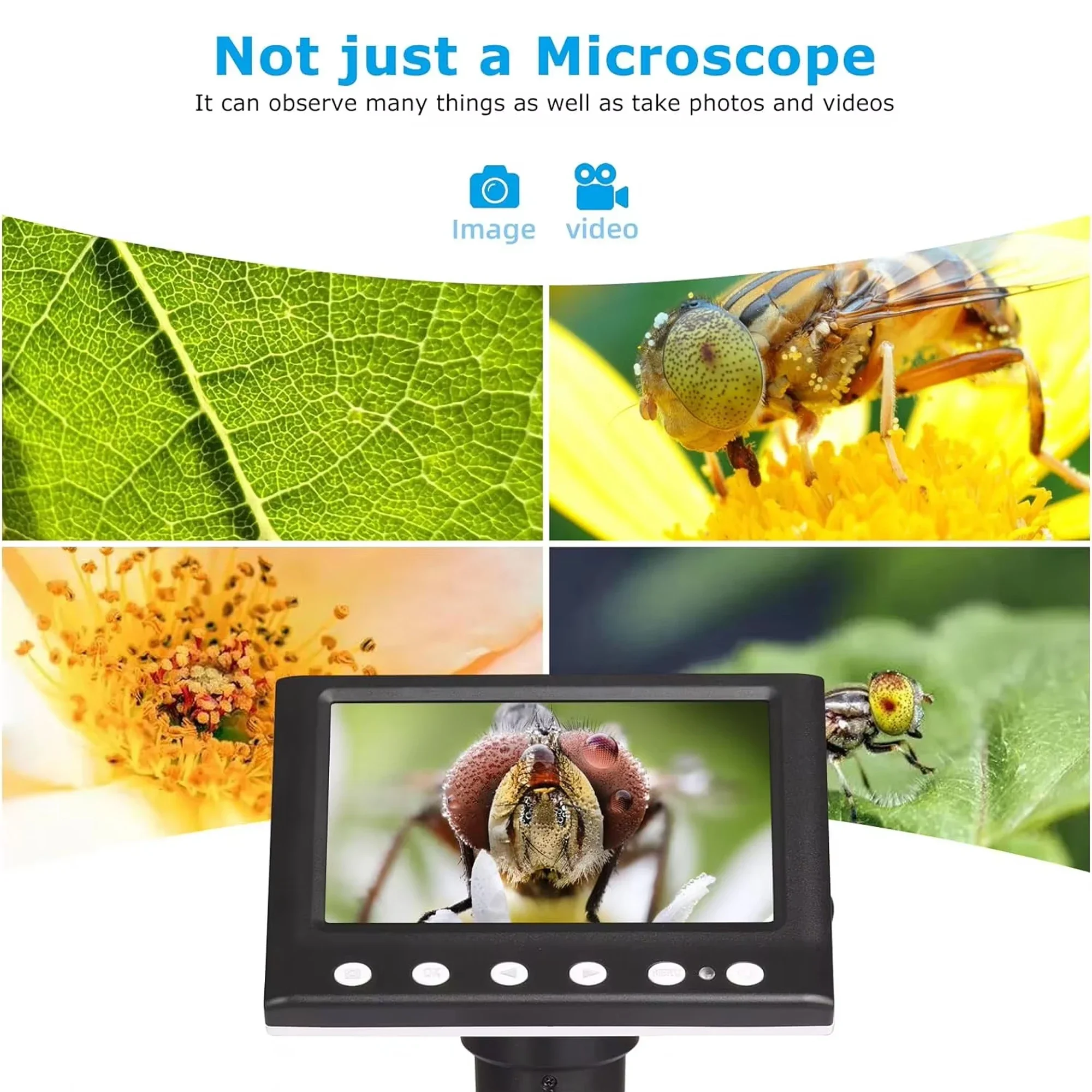 検査用顕微鏡 1000倍拡大 8 LED照明付き 32GBメ - Diy Electronics Microscope のレビューと価格